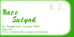 mate sulyok business card