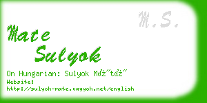 mate sulyok business card